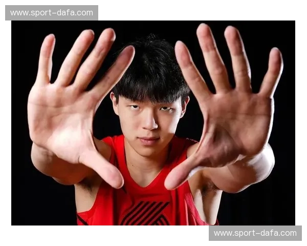 火箭与开拓者：2015年那场经典的对决，余韵仍在